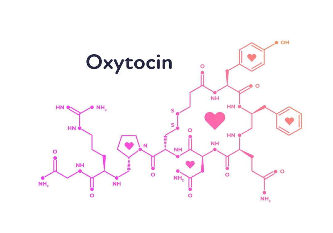 Oxytocin – The Bonding Hormone: Its Role in Male Attractiveness