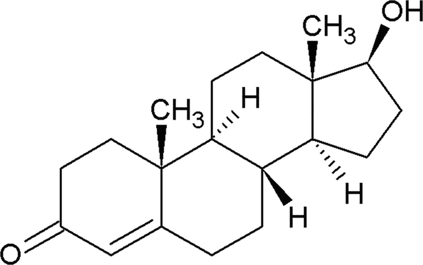 Testosterone and Attraction: More Than Just a Sex Hormone